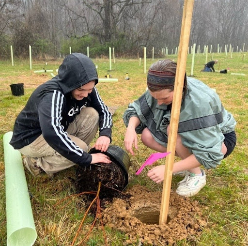 Members planting a tree together